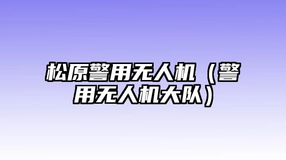 松原警用無人機（警用無人機大隊）