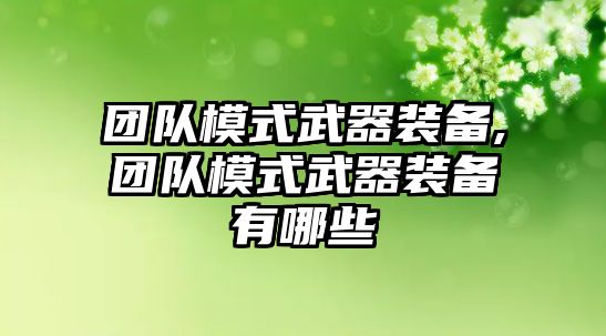 團隊模式武器裝備,團隊模式武器裝備有哪些