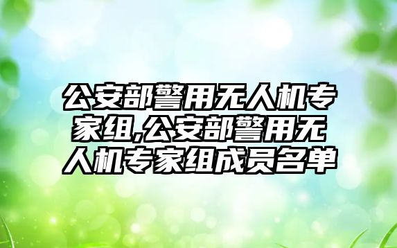 公安部警用無人機(jī)專家組,公安部警用無人機(jī)專家組成員名單