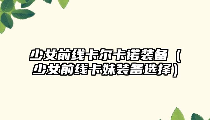 少女前線卡爾卡諾裝備（少女前線卡妹裝備選擇）