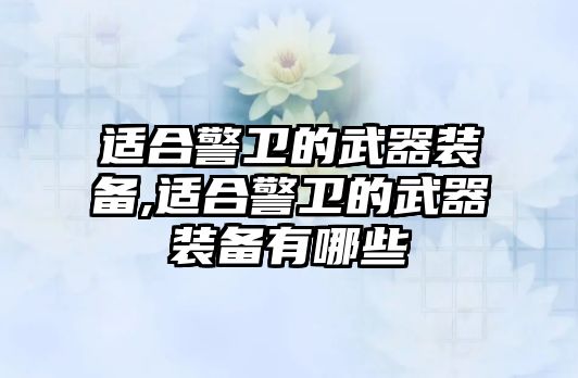 適合警衛的武器裝備,適合警衛的武器裝備有哪些