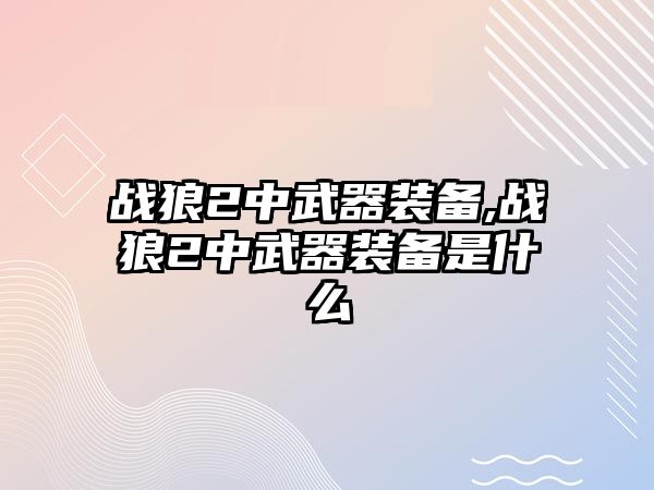 戰(zhàn)狼2中武器裝備,戰(zhàn)狼2中武器裝備是什么