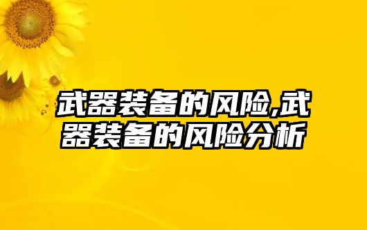 武器裝備的風險,武器裝備的風險分析