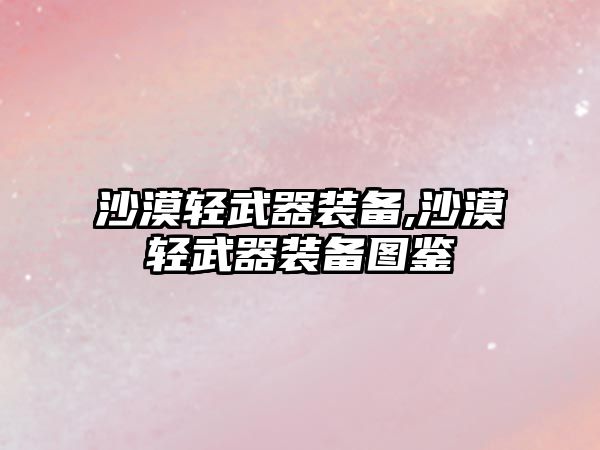 沙漠輕武器裝備,沙漠輕武器裝備圖鑒