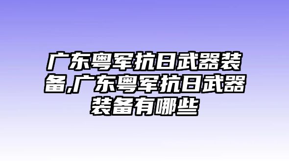 廣東粵軍抗日武器裝備,廣東粵軍抗日武器裝備有哪些