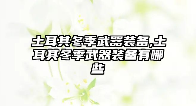 土耳其冬季武器裝備,土耳其冬季武器裝備有哪些