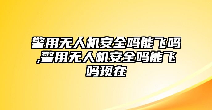 警用無人機安全嗎能飛嗎,警用無人機安全嗎能飛嗎現在