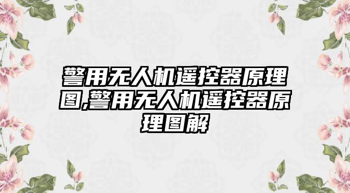 警用無人機(jī)遙控器原理圖,警用無人機(jī)遙控器原理圖解