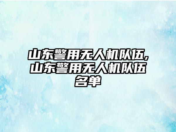 山東警用無人機(jī)隊(duì)伍,山東警用無人機(jī)隊(duì)伍名單