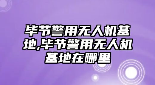 畢節(jié)警用無人機基地,畢節(jié)警用無人機基地在哪里