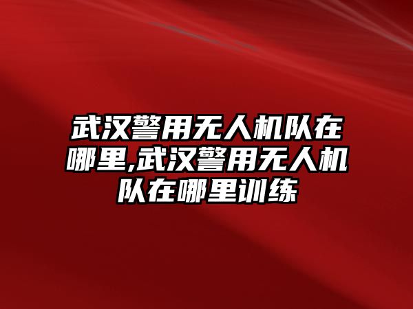 武漢警用無人機隊在哪里,武漢警用無人機隊在哪里訓練