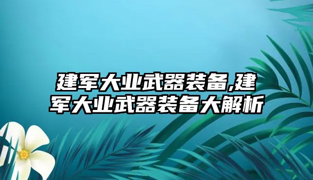 建軍大業(yè)武器裝備,建軍大業(yè)武器裝備大解析