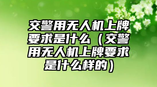 交警用無人機上牌要求是什么（交警用無人機上牌要求是什么樣的）