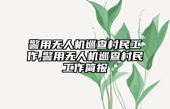 警用無人機巡查村民工作,警用無人機巡查村民工作簡報