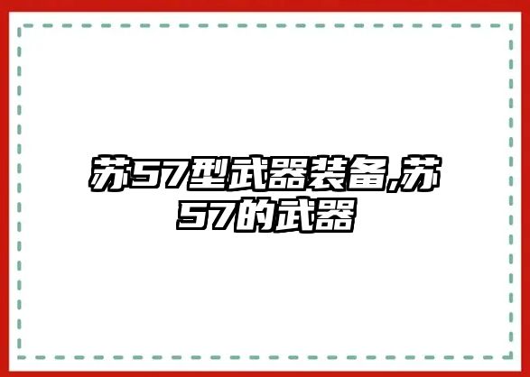 蘇57型武器裝備,蘇57的武器