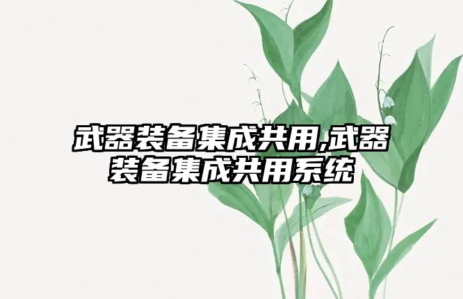 武器裝備集成共用,武器裝備集成共用系統