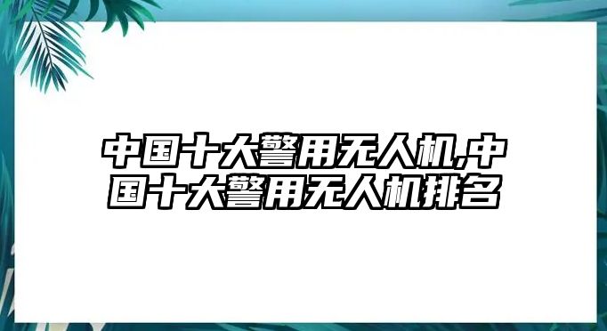 中國十大警用無人機,中國十大警用無人機排名