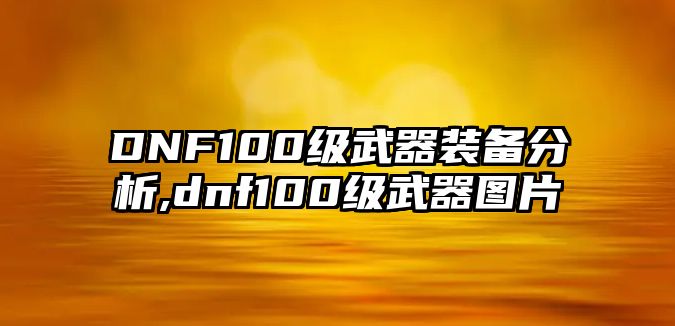 DNF100級武器裝備分析,dnf100級武器圖片