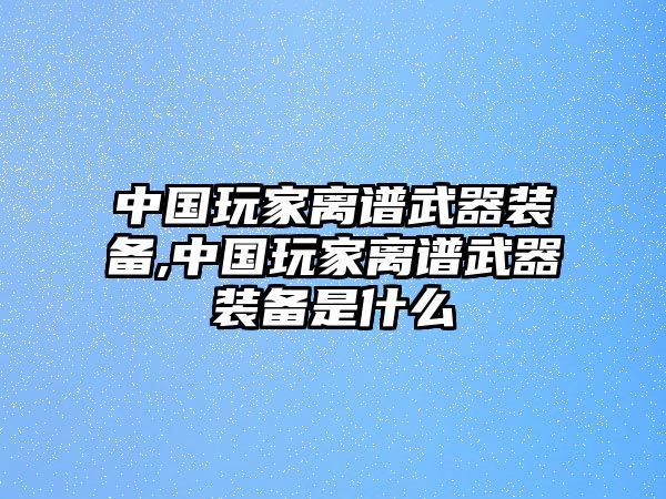 中國玩家離譜武器裝備,中國玩家離譜武器裝備是什么