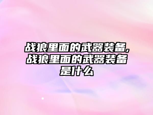 戰(zhàn)狼里面的武器裝備,戰(zhàn)狼里面的武器裝備是什么