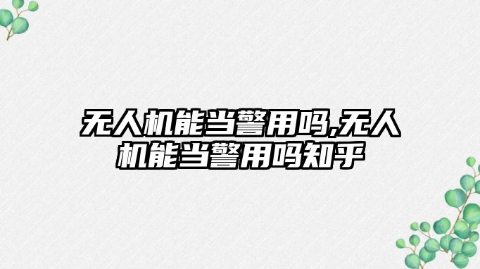 無人機能當警用嗎,無人機能當警用嗎知乎