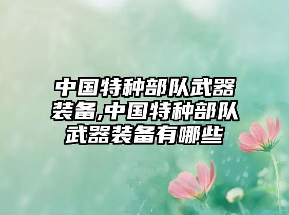 中國特種部隊武器裝備,中國特種部隊武器裝備有哪些