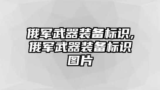 俄軍武器裝備標識,俄軍武器裝備標識圖片