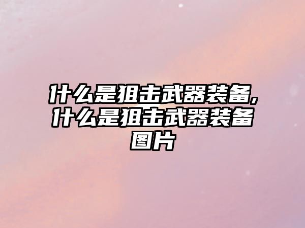 什么是狙擊武器裝備,什么是狙擊武器裝備圖片