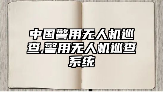 中國警用無人機巡查,警用無人機巡查系統