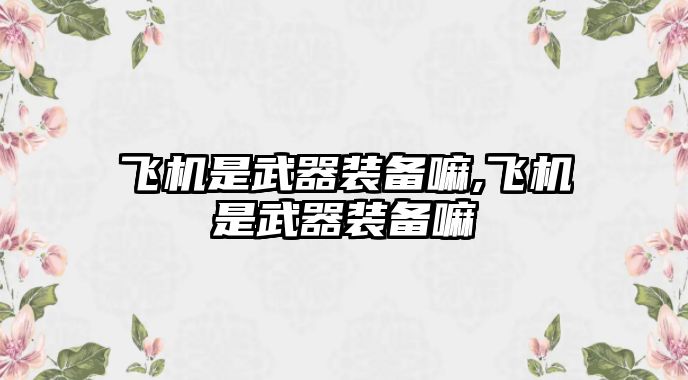 飛機是武器裝備嘛,飛機是武器裝備嘛