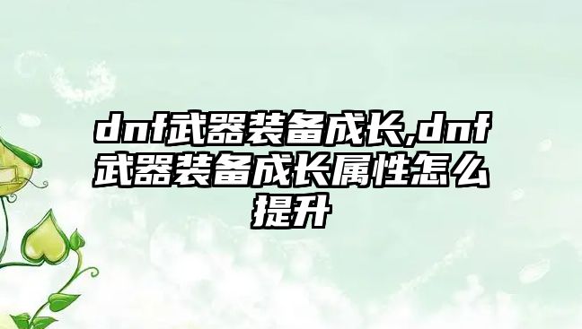 dnf武器裝備成長,dnf武器裝備成長屬性怎么提升