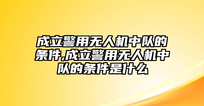 成立警用無人機中隊的條件,成立警用無人機中隊的條件是什么