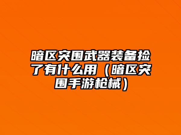 暗區突圍武器裝備撿了有什么用（暗區突圍手游槍械）