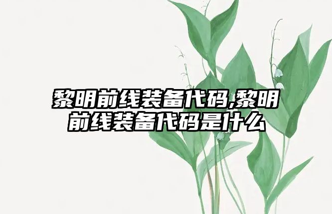 黎明前線裝備代碼,黎明前線裝備代碼是什么