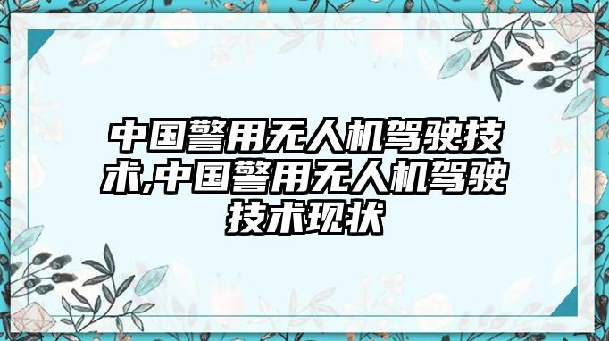 中國警用無人機駕駛技術,中國警用無人機駕駛技術現狀