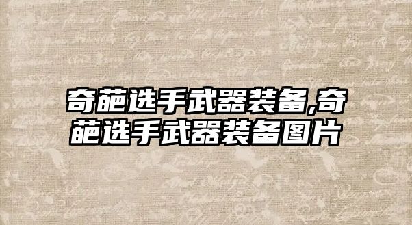 奇葩選手武器裝備,奇葩選手武器裝備圖片