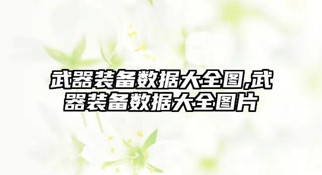 武器裝備數(shù)據(jù)大全圖,武器裝備數(shù)據(jù)大全圖片