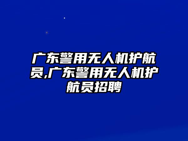 廣東警用無人機護航員,廣東警用無人機護航員招聘