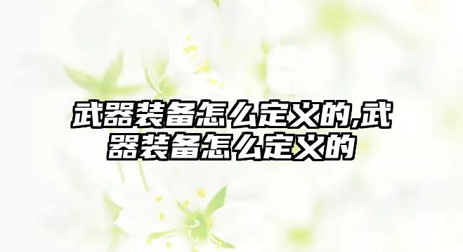 武器裝備怎么定義的,武器裝備怎么定義的