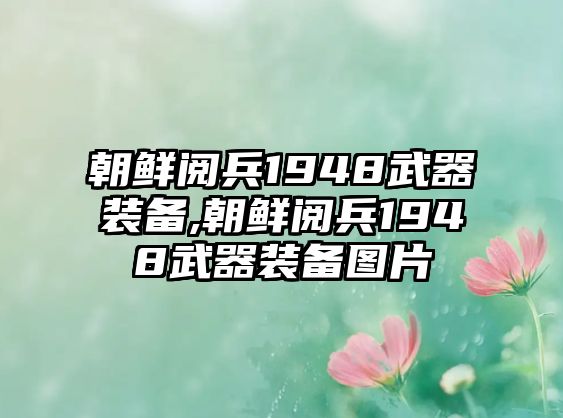 朝鮮閱兵1948武器裝備,朝鮮閱兵1948武器裝備圖片