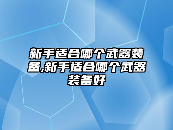 新手適合哪個武器裝備,新手適合哪個武器裝備好