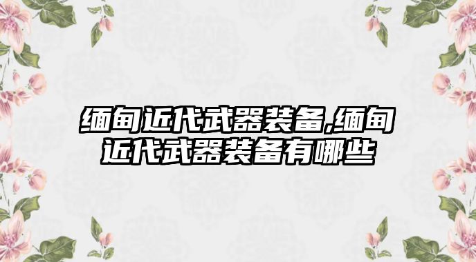 緬甸近代武器裝備,緬甸近代武器裝備有哪些