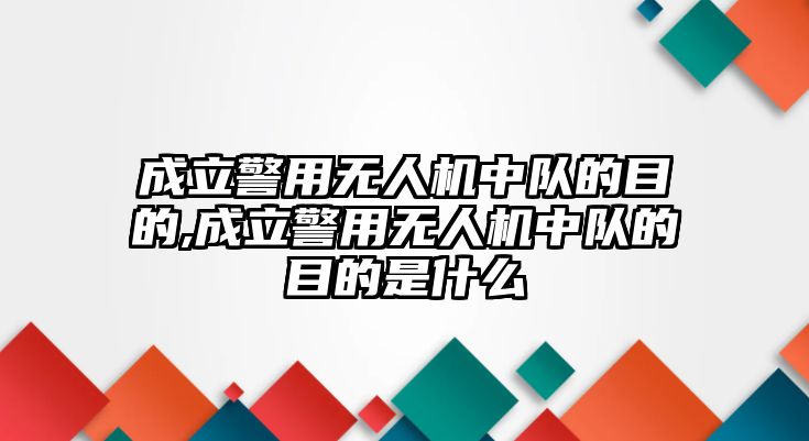 成立警用無人機中隊的目的,成立警用無人機中隊的目的是什么