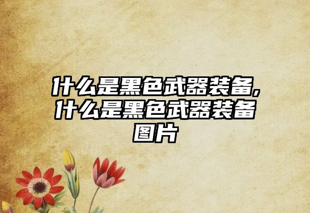 什么是黑色武器裝備,什么是黑色武器裝備圖片