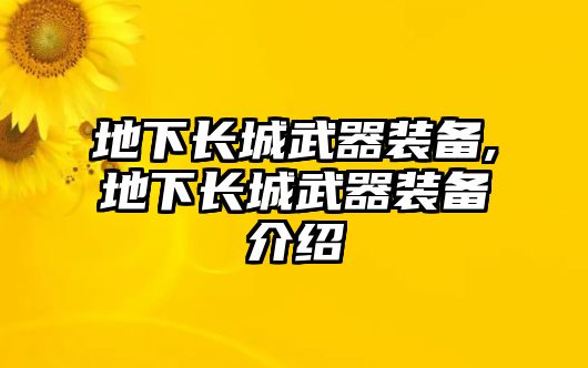 地下長城武器裝備,地下長城武器裝備介紹