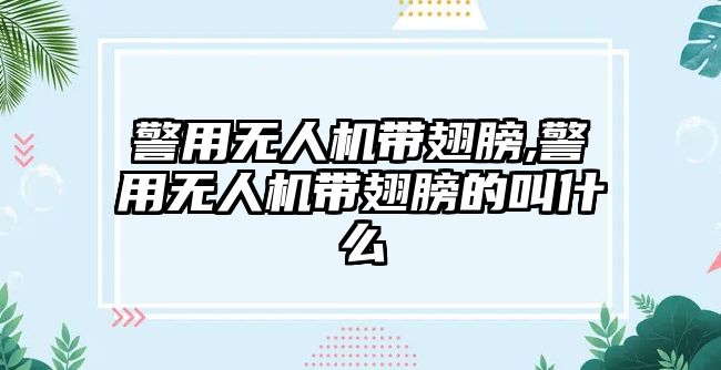 警用無人機帶翅膀,警用無人機帶翅膀的叫什么