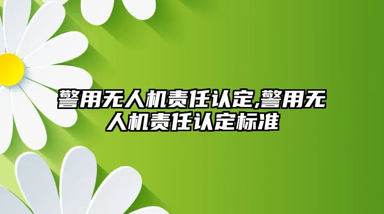 警用無人機責任認定,警用無人機責任認定標準