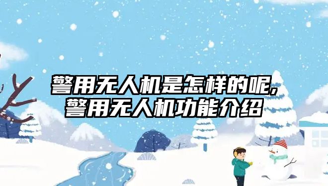 警用無人機是怎樣的呢,警用無人機功能介紹