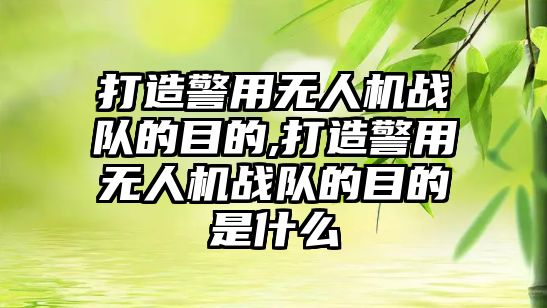 打造警用無人機戰隊的目的,打造警用無人機戰隊的目的是什么