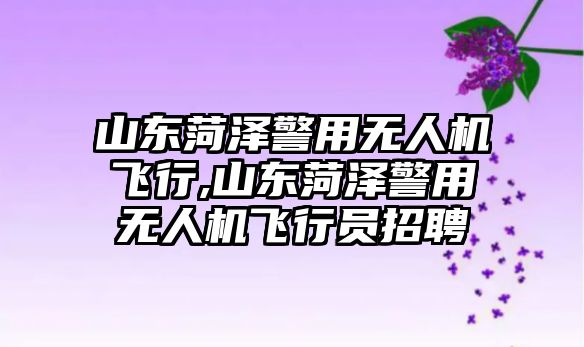 山東菏澤警用無人機飛行,山東菏澤警用無人機飛行員招聘